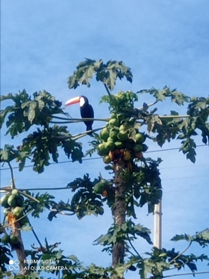 Chacara Recanto Das Pedras Para 8 Pessoas Serra Negra  Bagian luar foto